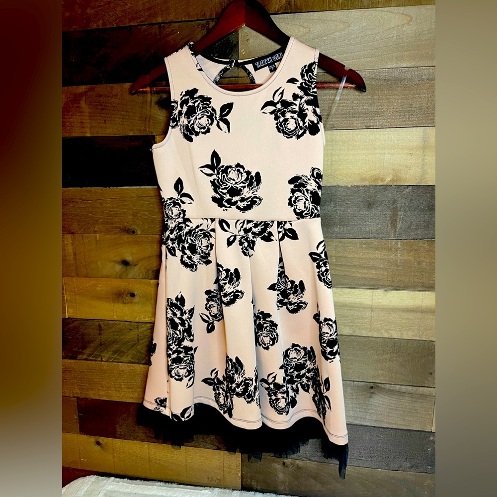 Pale pink with black velvet roses! Trixxi Girl dress, size 12